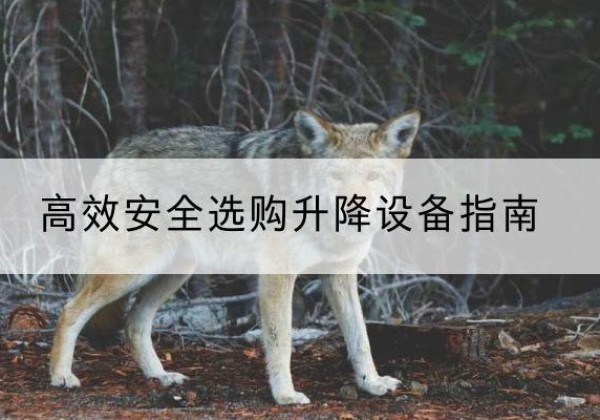 博山升降货梯厂家推荐-*安全选购升降设备指南