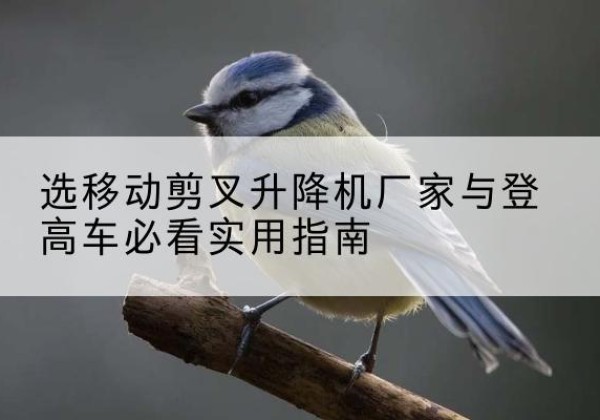 博山电动升降机厂家-选移动剪叉升降机厂家与登高车必看实用指南